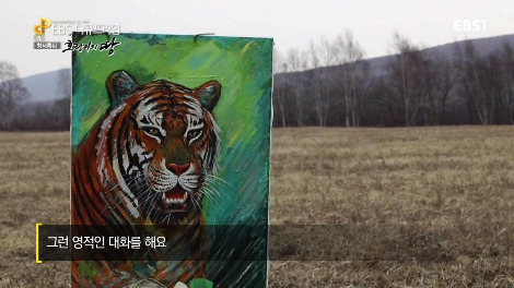 EBS 다큐프라임.160621.호랑이의 땅 1부 인간의 땅, 호랑이의 숲.720p-NEXT.mp4_001394560.jpg