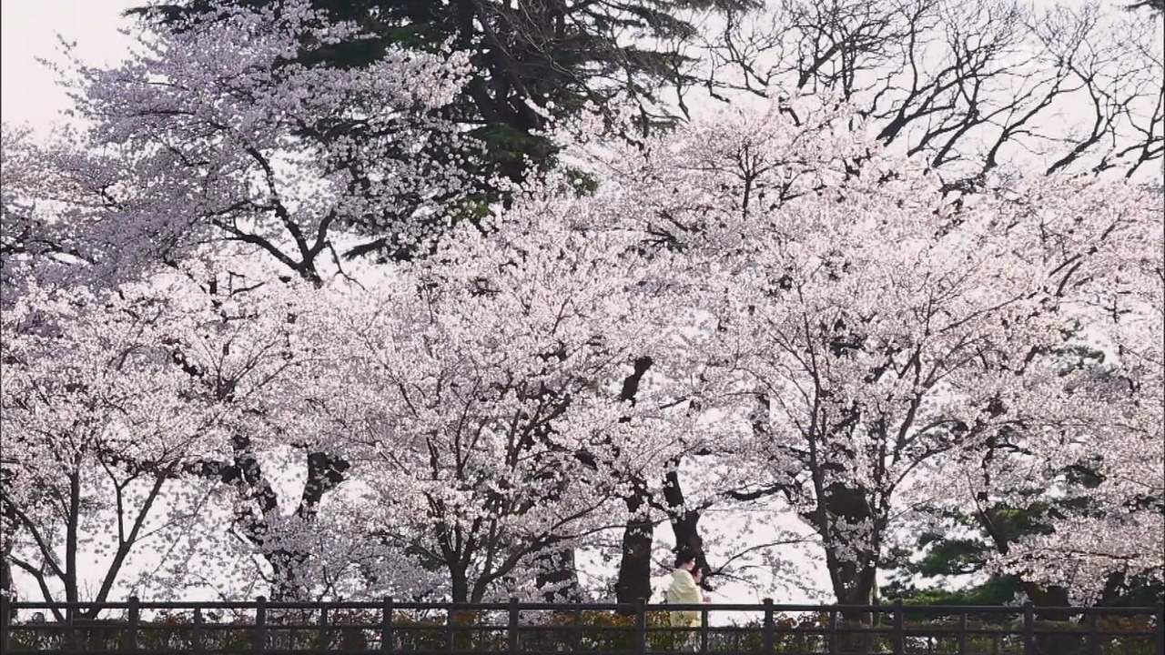 ‘2014 KBS글로벌대기획-색, 네 개의 욕망’ E4 Fin 140131 ‘WHITE-탐미의 가면’ HDTV x264 720p AAC-nature boy.mp4_001984377.jpg