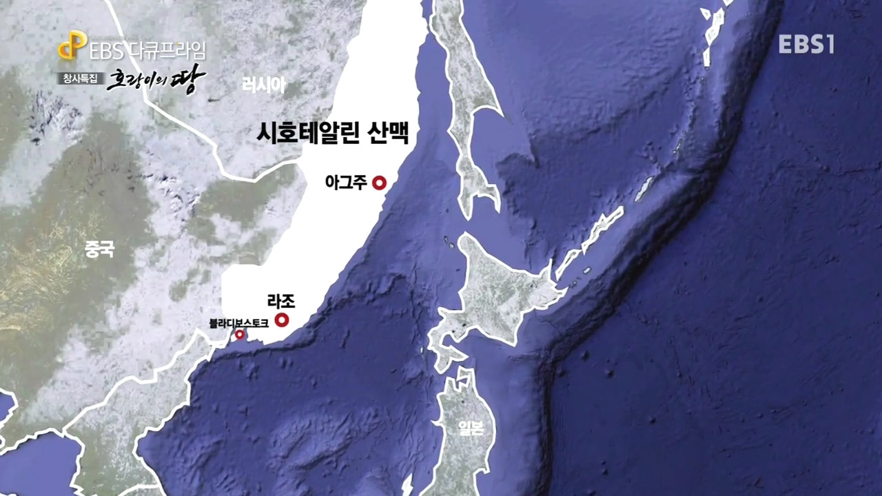 EBS 다큐프라임.160621.호랑이의 땅 1부 인간의 땅, 호랑이의 숲.720p-NEXT.mp4_000104799.jpg