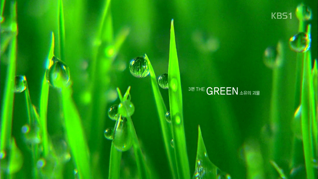 ‘2014 KBS글로벌대기획-색, 네 개의 욕망’ E3 140124 ‘GREEN-소유의 괴물’ HDTV x264 720p AAC-nature boy.mp4_000398410.jpg