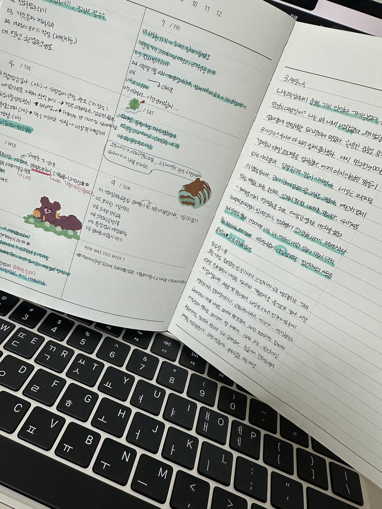 카지노 게임 사이트