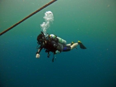 다운로드_(2) (2).jpg