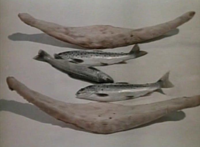 다운로드 (49).jpg