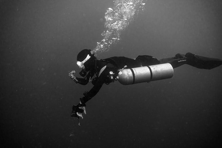 다운로드 (91).jpg