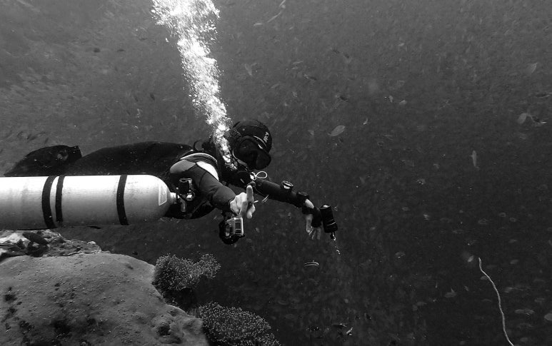 다운로드 (29).jpg