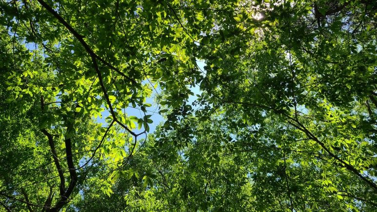 다운로드_(4) (2).jpg