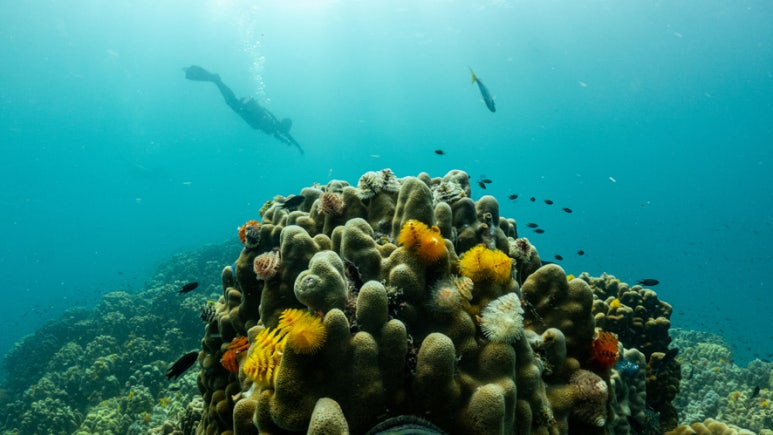 다운로드 (25).jpg