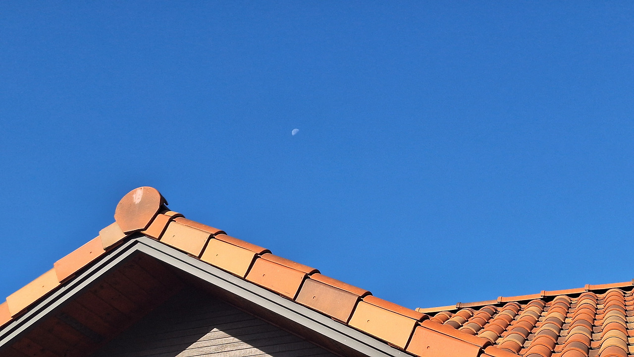 360_11월_마을_동네_산책_단풍_나무_갈대 (32).jpg