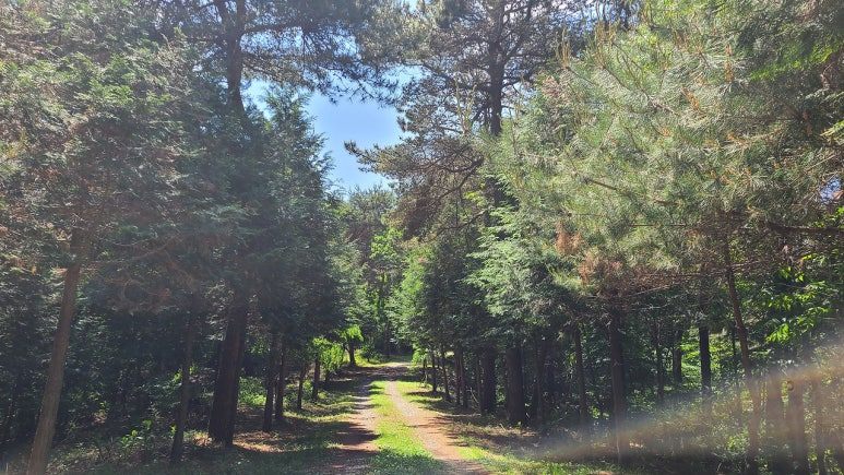 다운로드_(2) (4).jpg