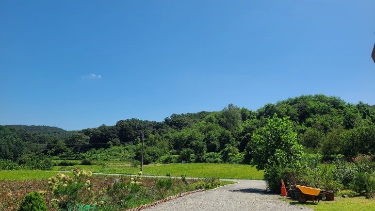 다운로드_(2) (3).jpg