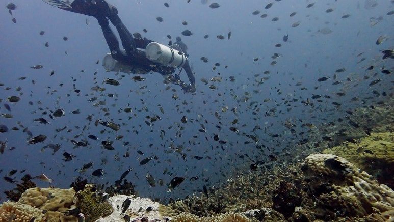 다운로드 (9).jpg