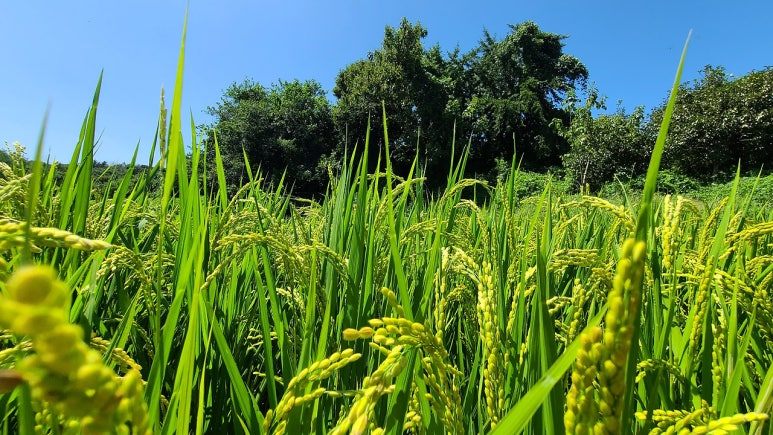 다운로드_(3) (4).jpg