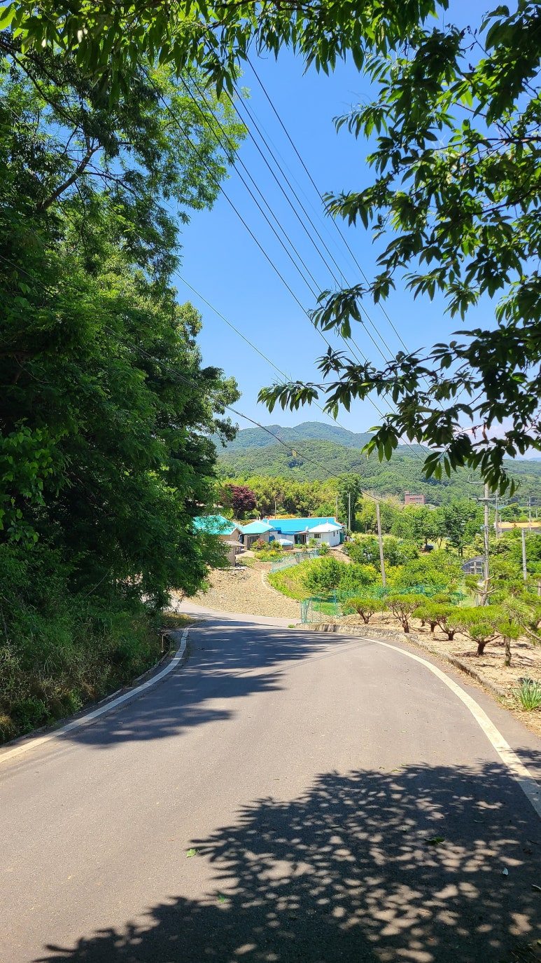 다운로드_(1) (8).jpg