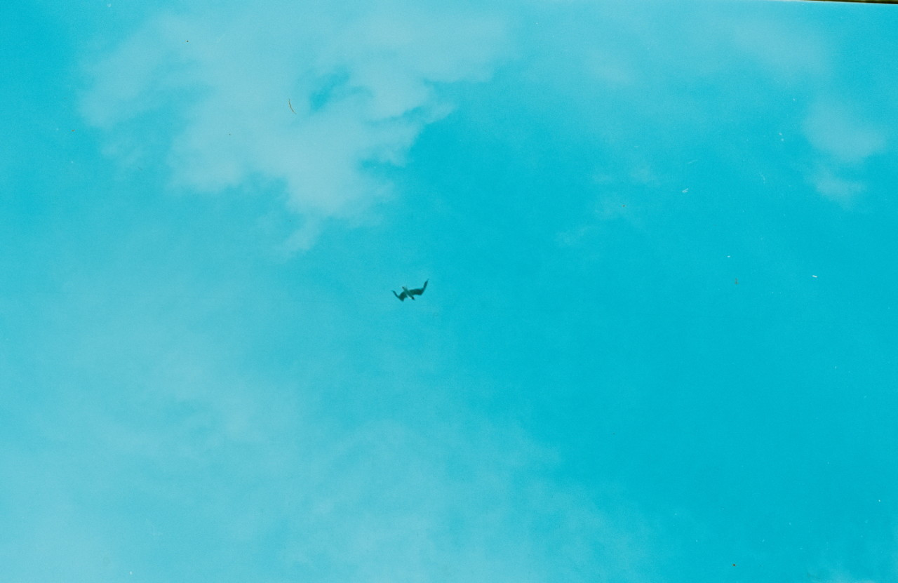 common - 2025-10-29T113208.328.jpg