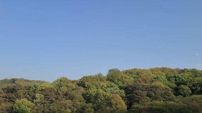 다운로드 (95).jpg