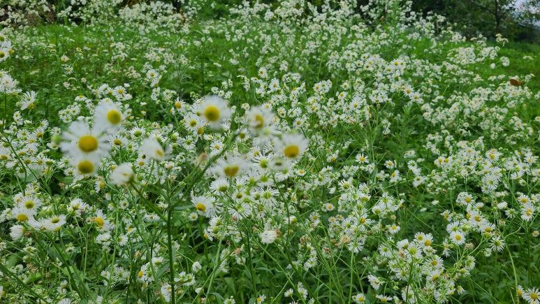 다운로드 (65).jpg