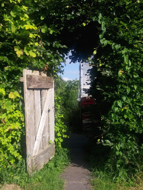 20190630_180757 (1).jpg