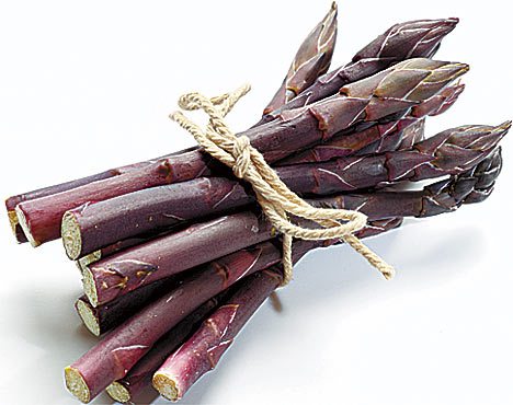 AsparagusLL_468x370.jpg