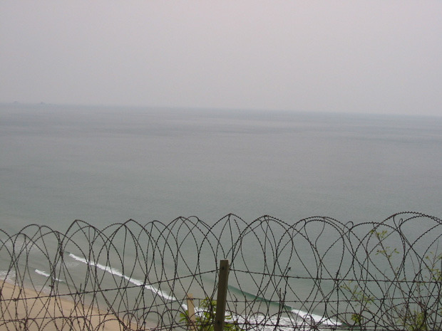 gasi 101-0117_IMG.jpg