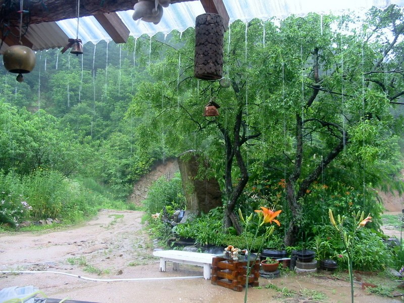 1-사진 003-002.jpg