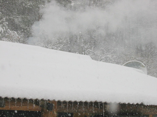 1-pong 101-0118_IMG.jpg