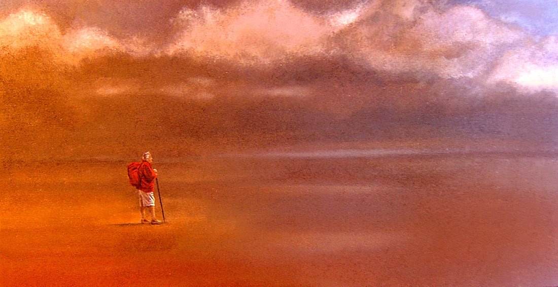 Peregrino by martin perez irustra.jpg