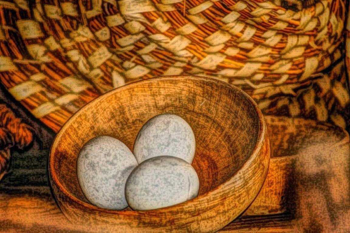 huevo, cáscara de huevo.jpg