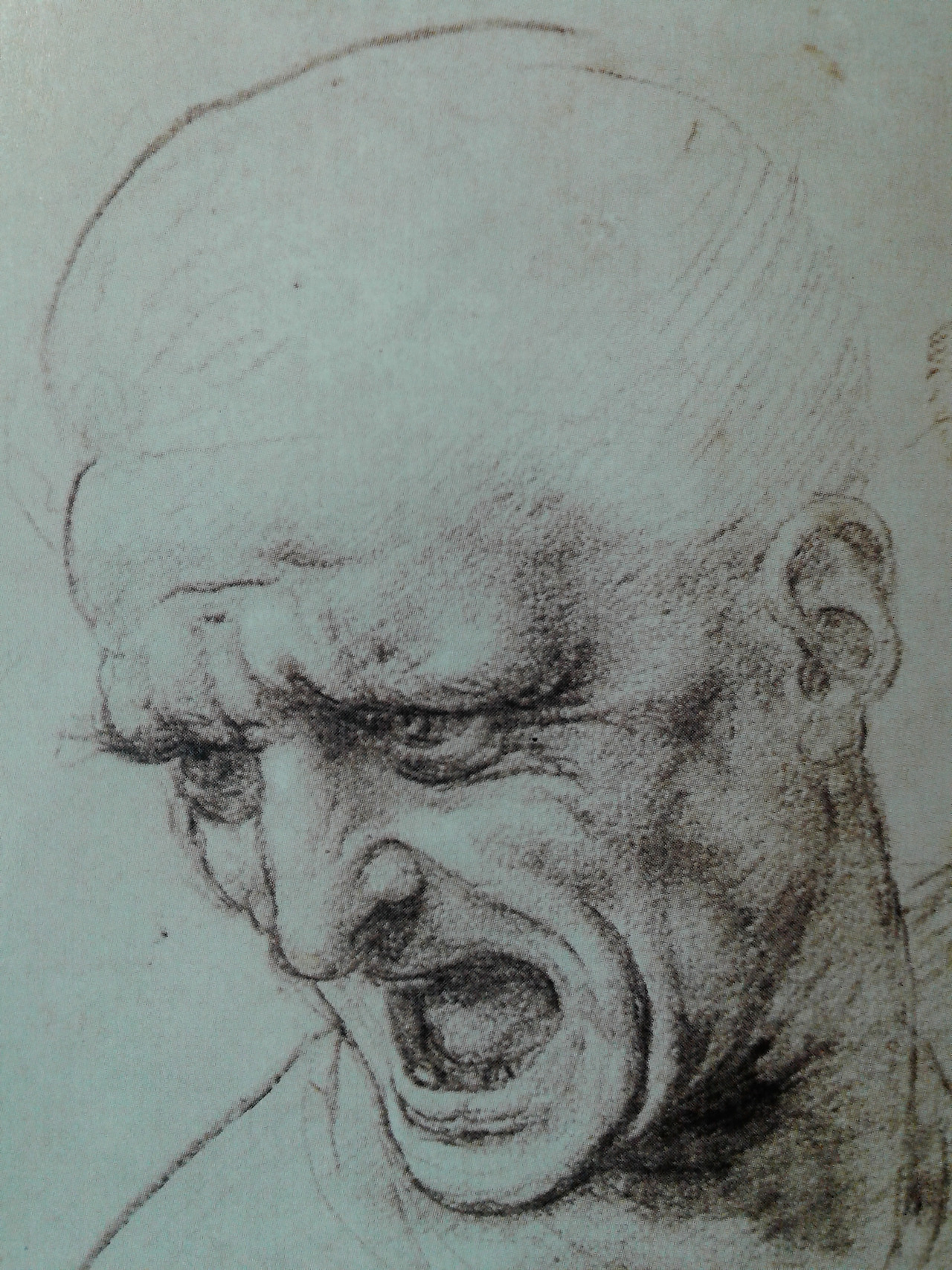 레오나르도 다 빈치의 수첩