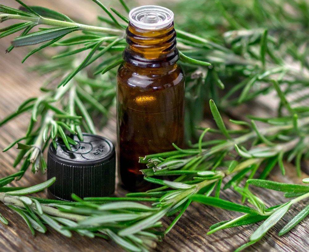 sfc-rosemary-essential-oil.jpg