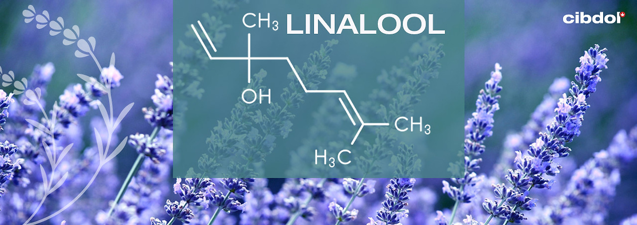 what-is-linalool.jpg