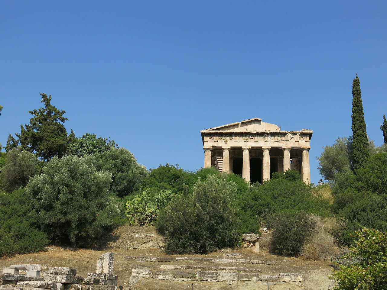temple-of-hephaestus-flanked-with-female-and-male-cyprus-trees.jpg