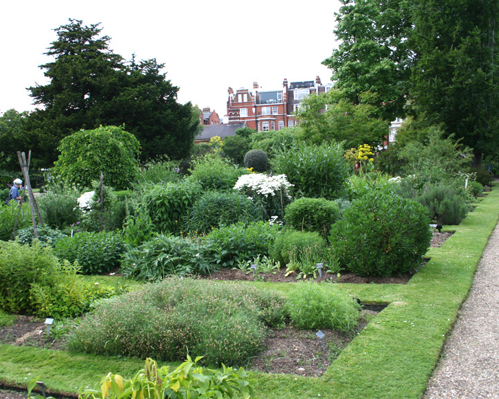 Chelsea_physic_garden.jpg