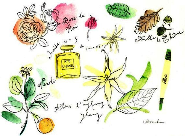 chanel-no-5-ylang-illustration-by-lucile-prache1.jpg