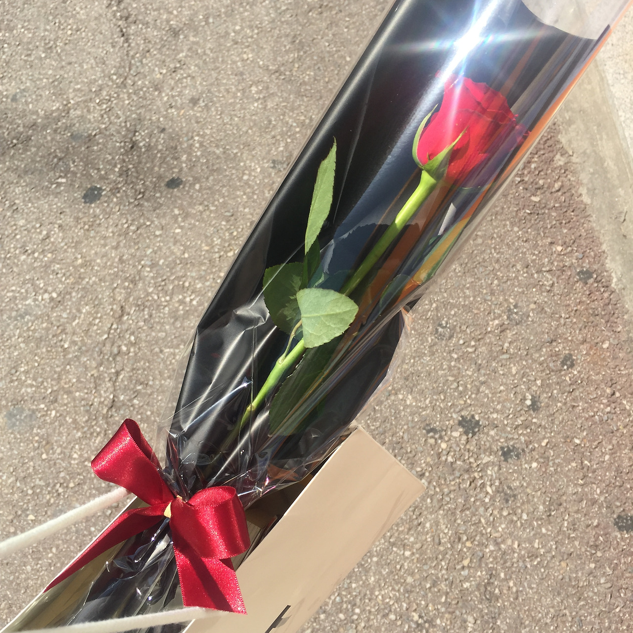 2016-05-14 15.09.12.jpg