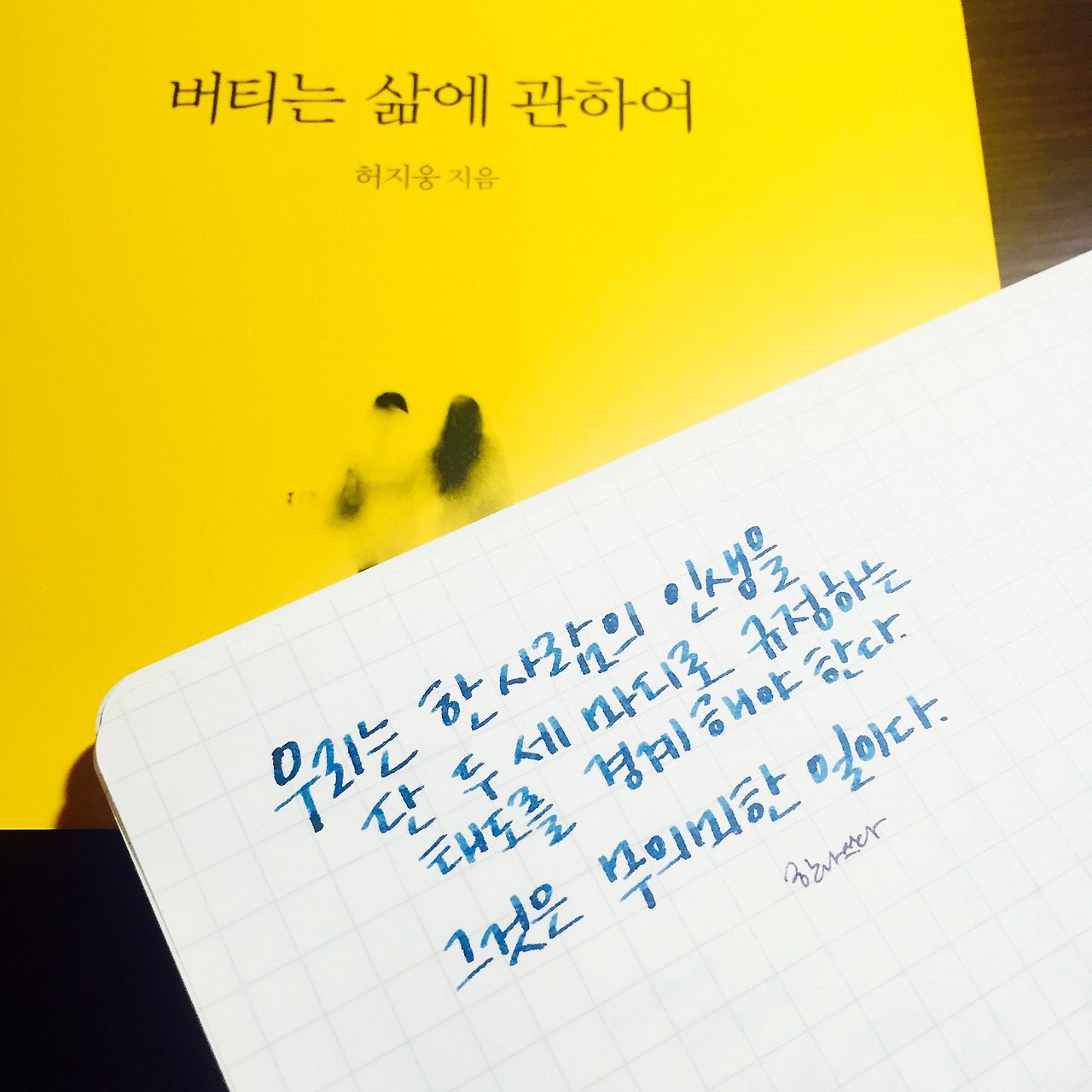 2016-08-03 22.04.07-2.jpg