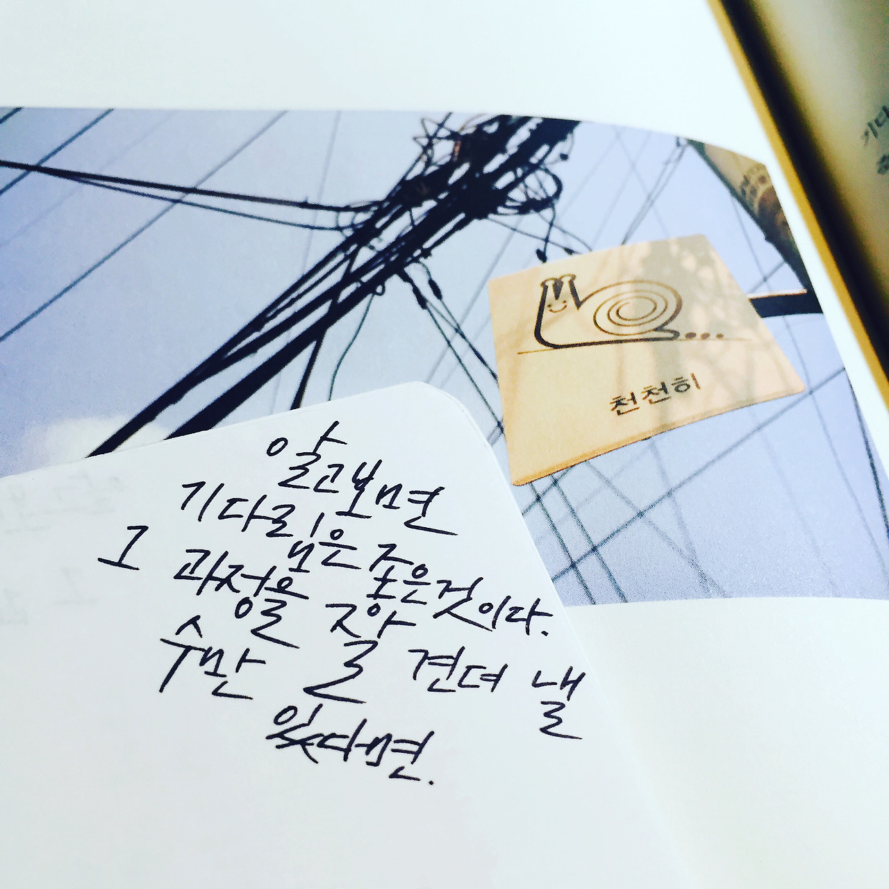 2016-08-17 00.01.06-1.jpg