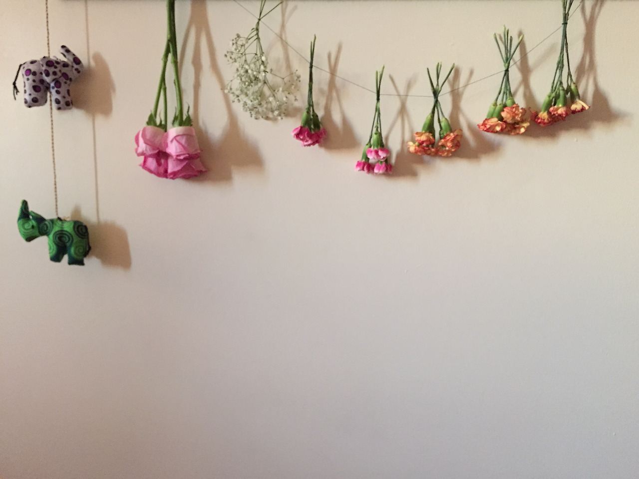 2015-06-10 21.12.56.jpg