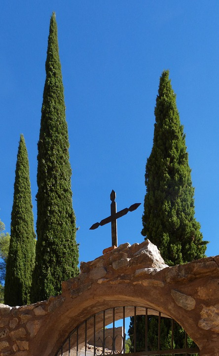 Religious-Cypress-Cemetery-Cross-Transcendence-951227.jpg
