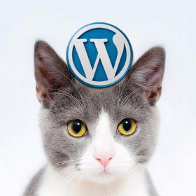 wordpresscat.jpg