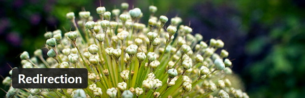 Redirection.jpg