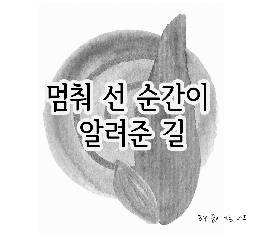 5-3멈춰 선 순간이 알려준 길.jpg