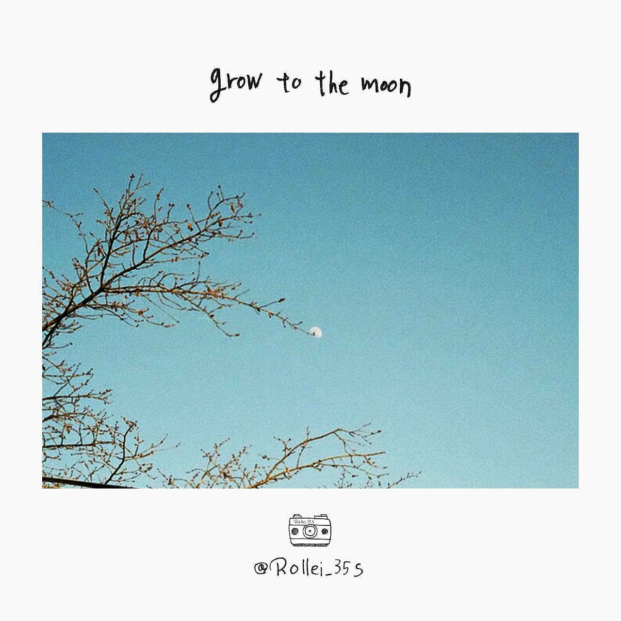 grow to the moon.jpg