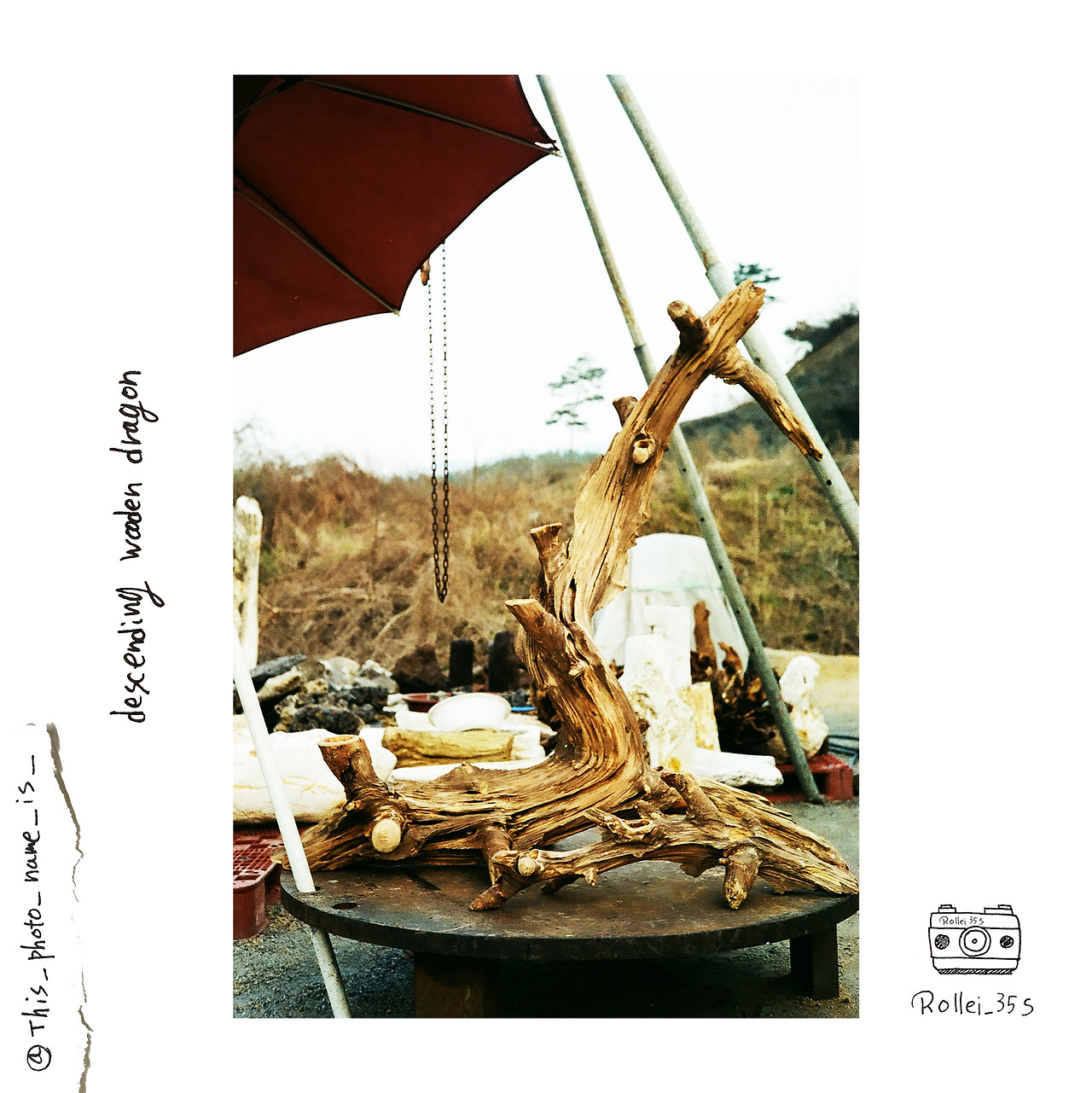 descending wooden dragon.jpg