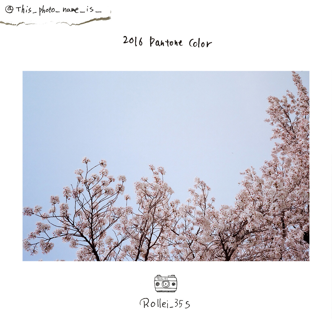 2016 pantone color.jpg