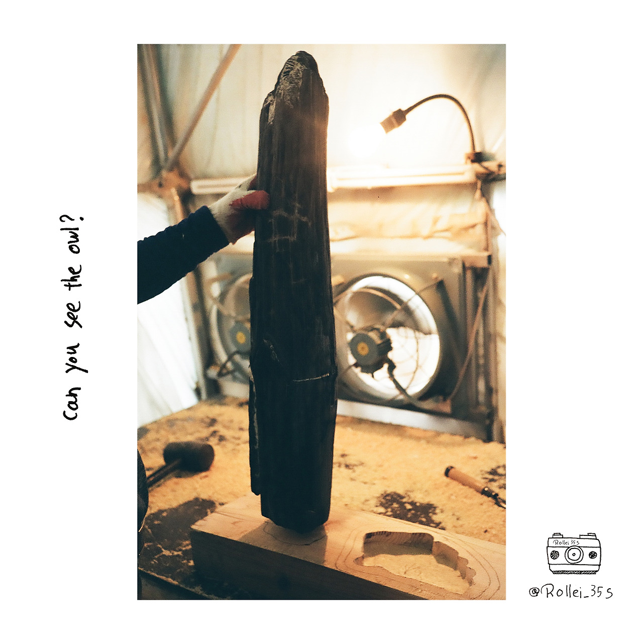 can you see the owl.jpg