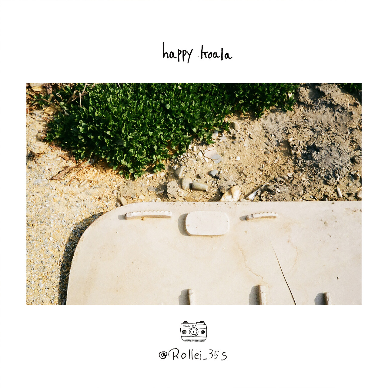 happy koala.jpg
