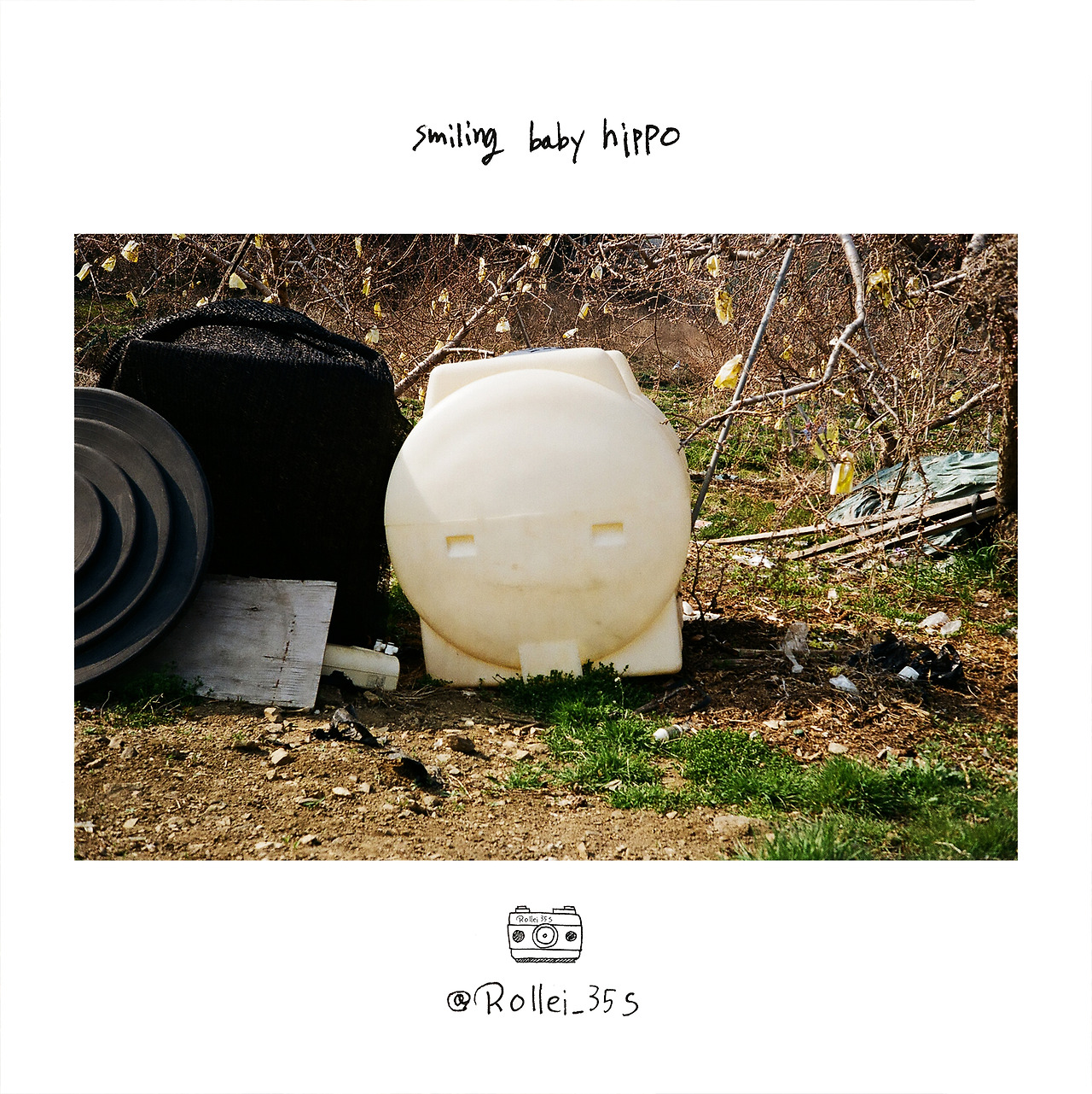 smiling baby hippo.jpg