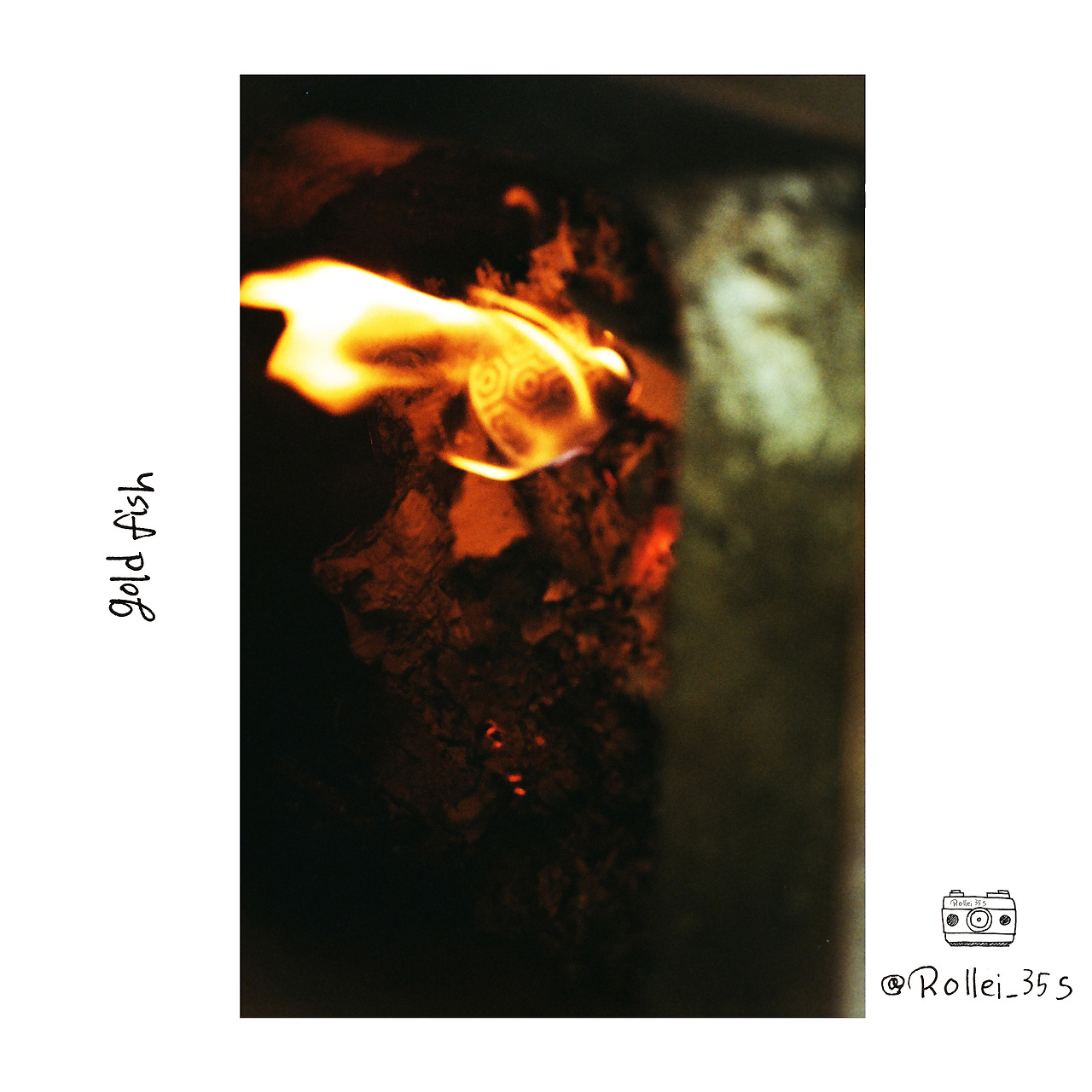 gold fish.jpg