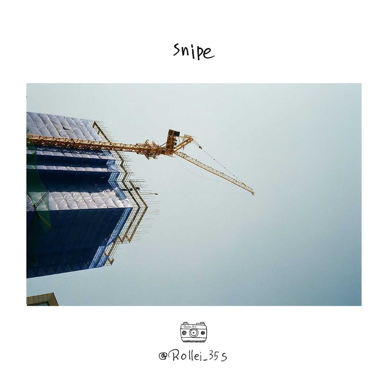 snipe.jpg