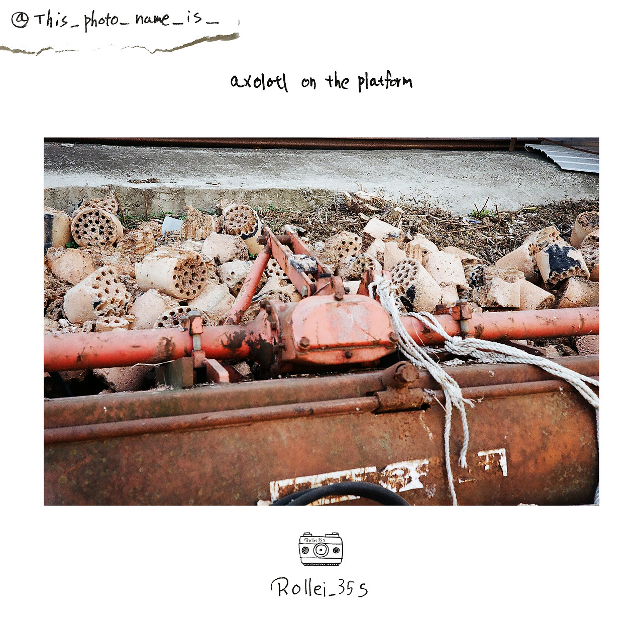 exolotl on the platform.jpg